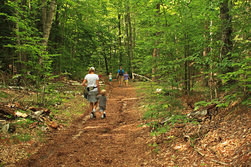 easy loop aligator hill